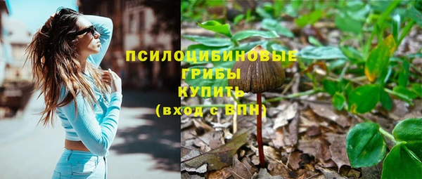 синтетический гашиш Арсеньев